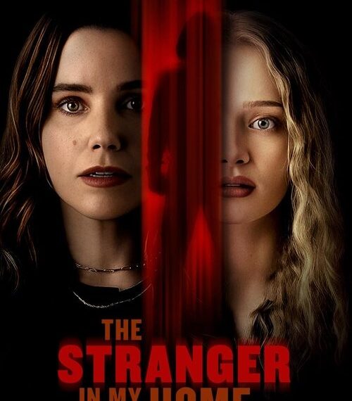 The Stranger in My Home Movie Poster